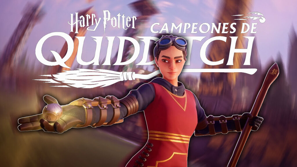 Harry Potter: Campeones de Quidditch