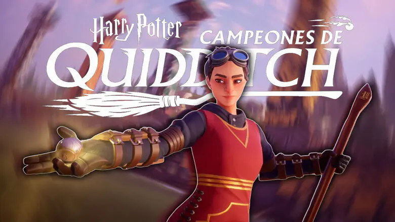 Harry Potter: Campeones de Quidditch