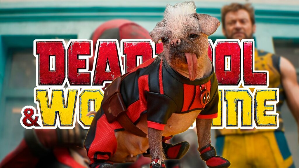 perro deadpool lobezno