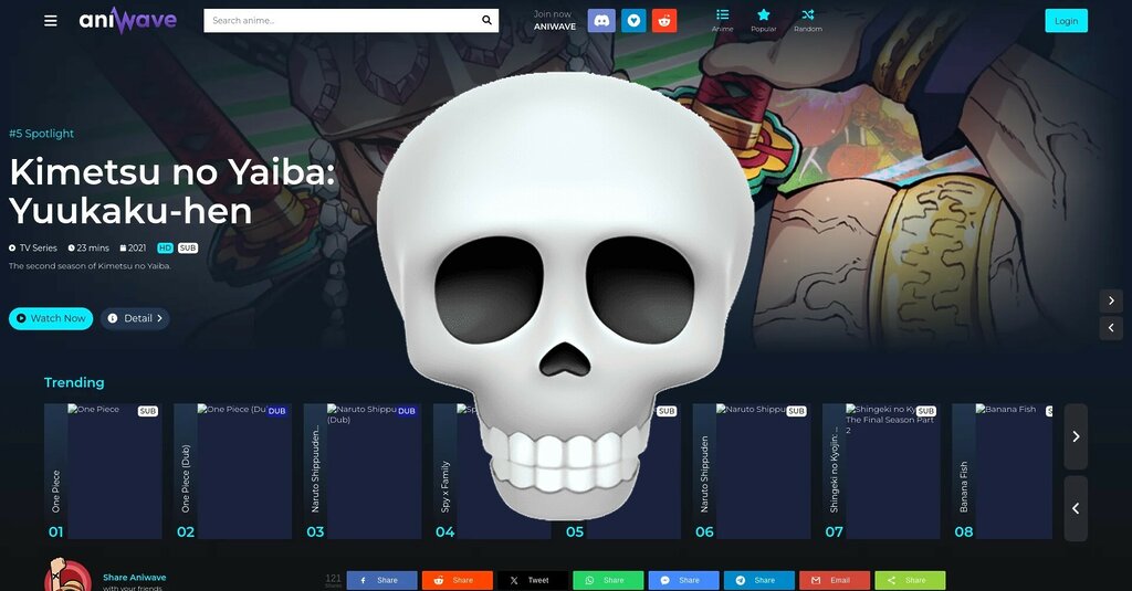 pagina pirata cierra (1)