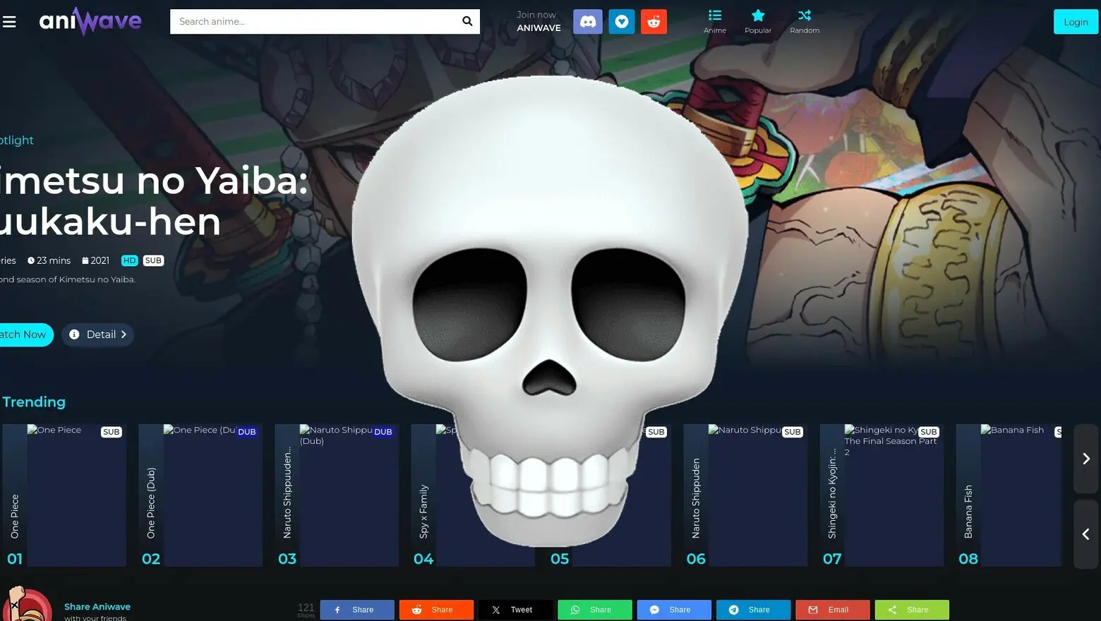 pagina pirata cierra (1)