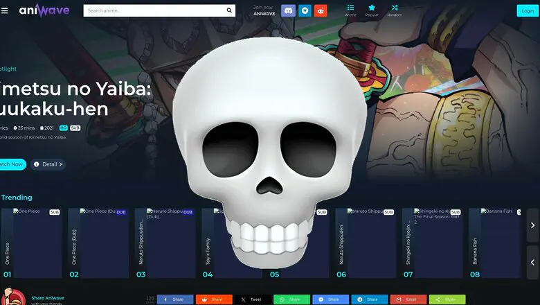 pagina pirata cierra (1)