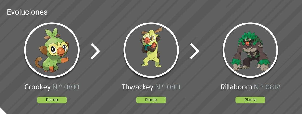 Pokemon linea evolutiva Grookey