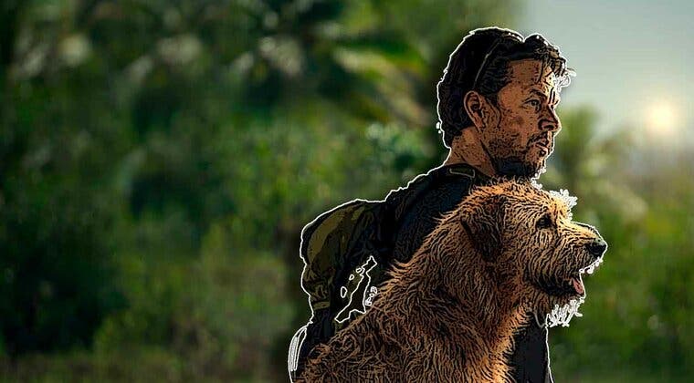 Imagen de No dejarás de llorar: 'Arthur' es un drama protagonizado por un perro que te robará el corazón en Amazon Prime Video