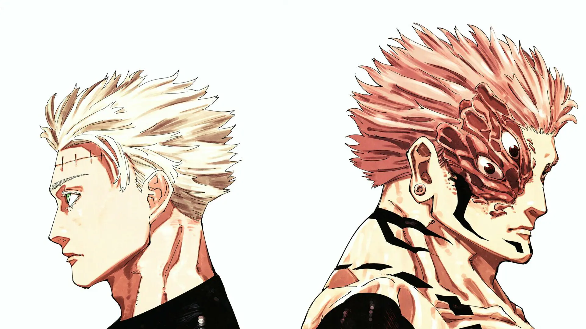Color spread del capítulo 262