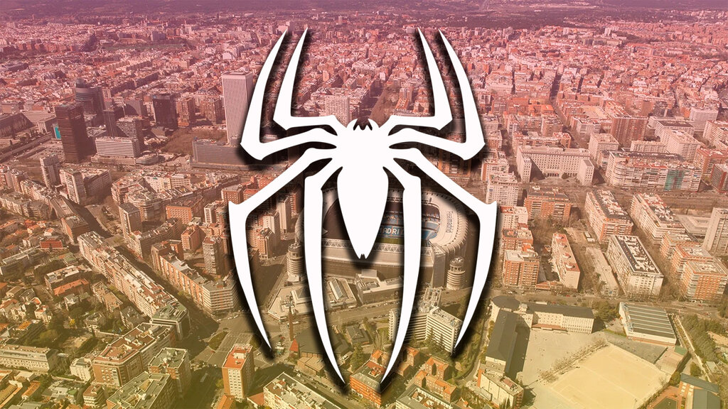 ¿Hay plaga de arañas en Madrid?