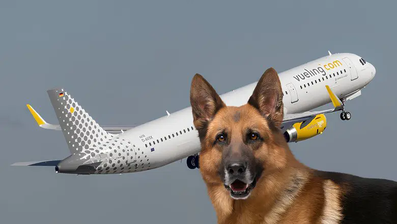 Airbus ladrido A320
