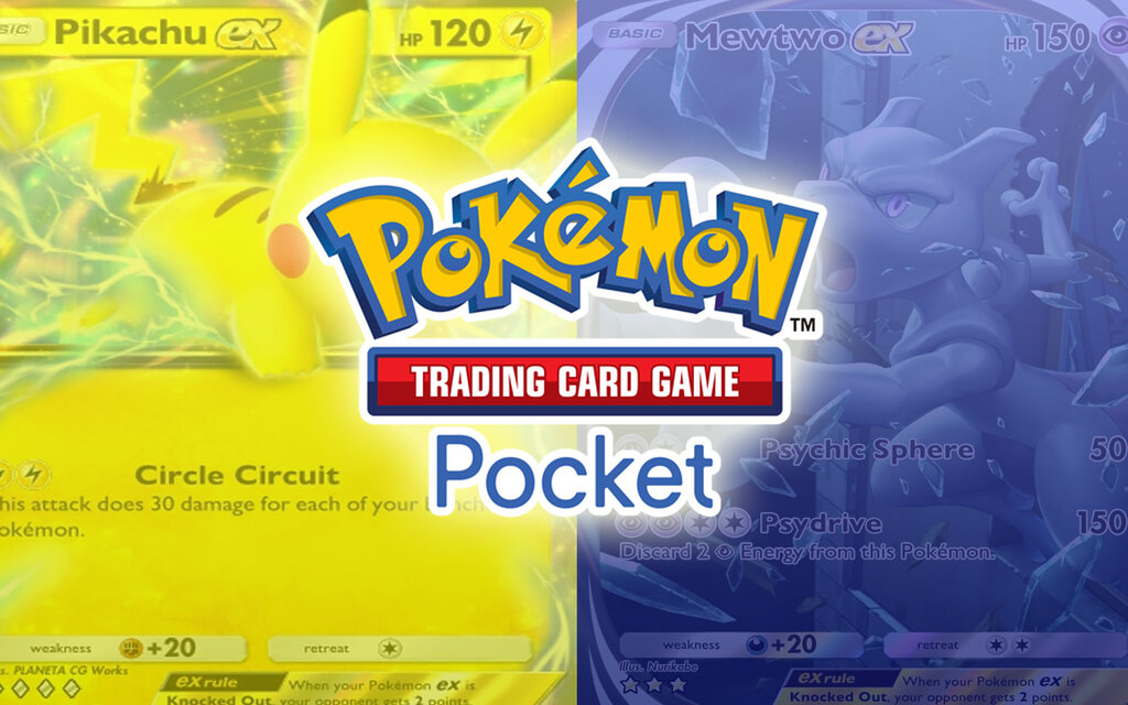 Guía meta Pocket