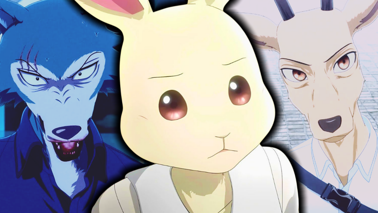 beastars parte 2 temporada final (1)