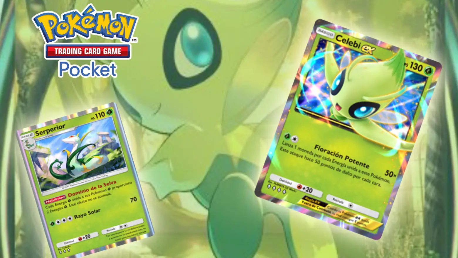 Mazo celebi EX