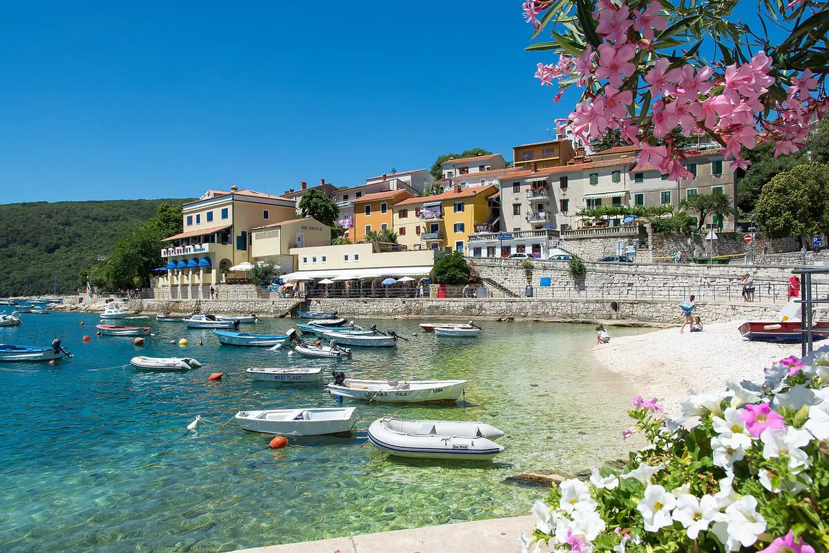 rabac chacal