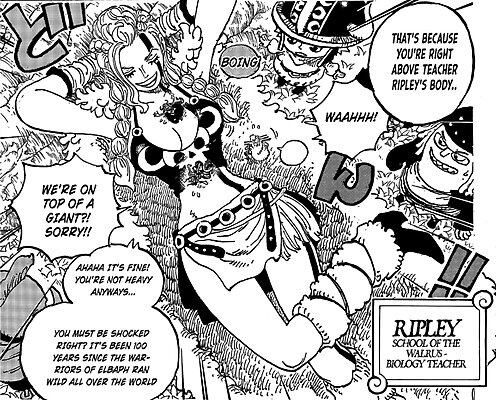 One Piece 1135: primeros spoilers confirmados del nuevo capítulo del manga