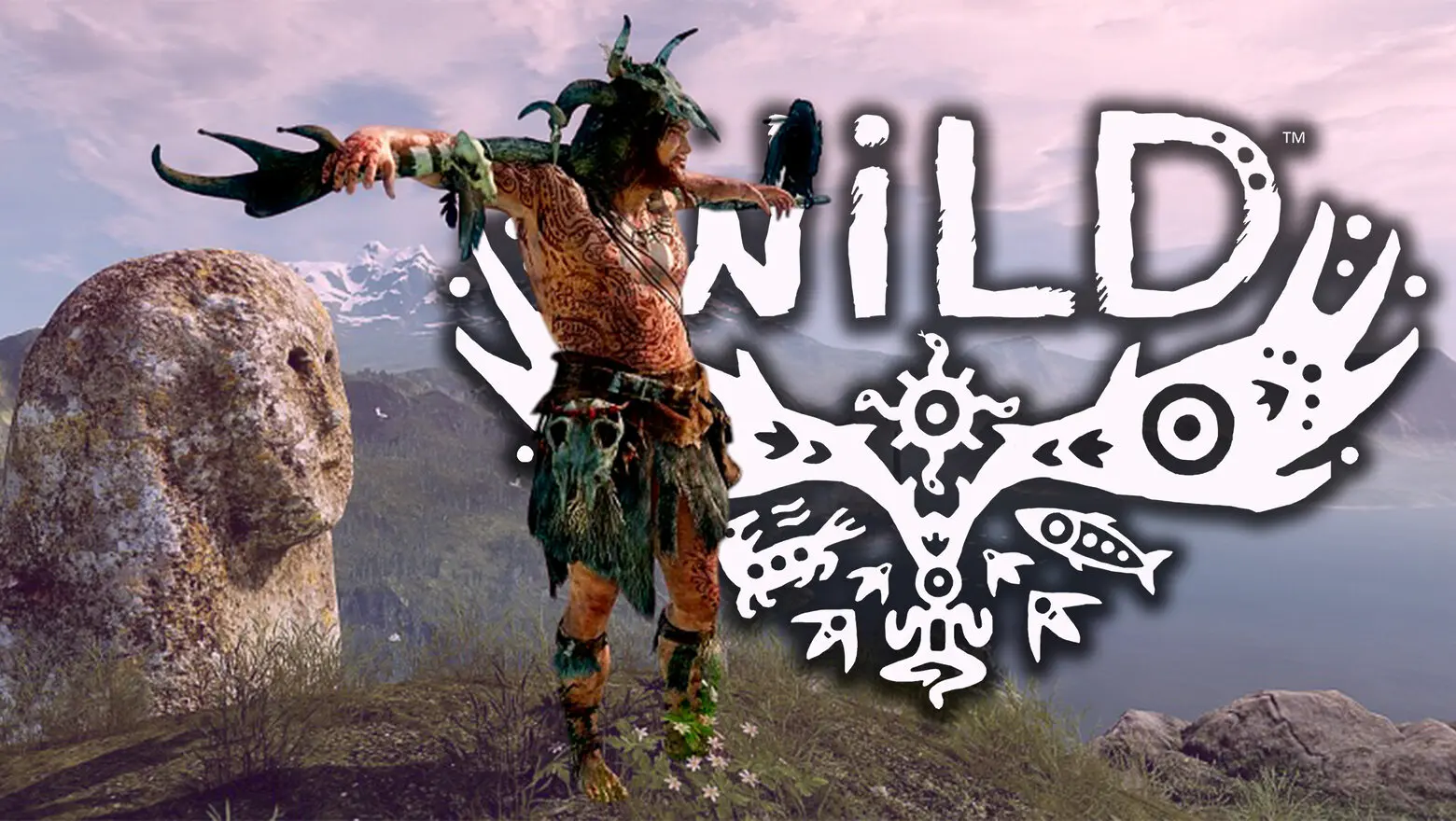 ¿Por qué se canceló WiLD?