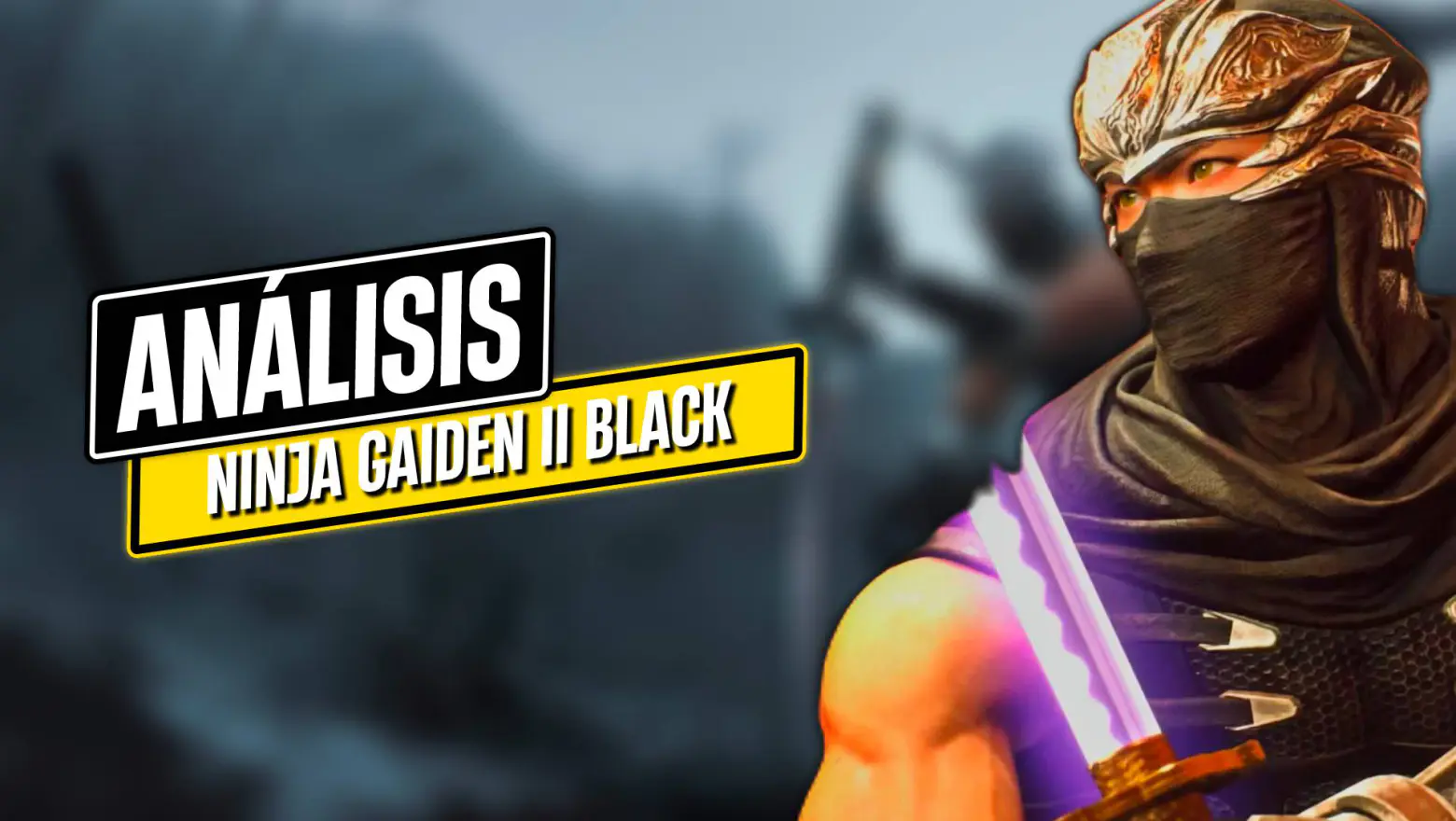Ninja Gaiden 2 Black