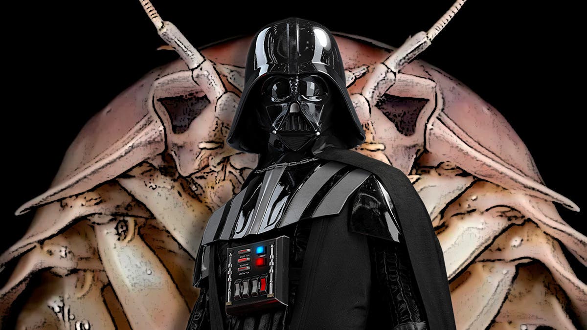 darth vader insecto