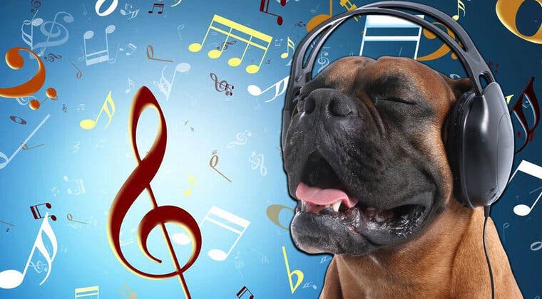 Imagen de ¿Cuál es el género de música favorito de los perros? Descubre el ritmo musical de tu mascota