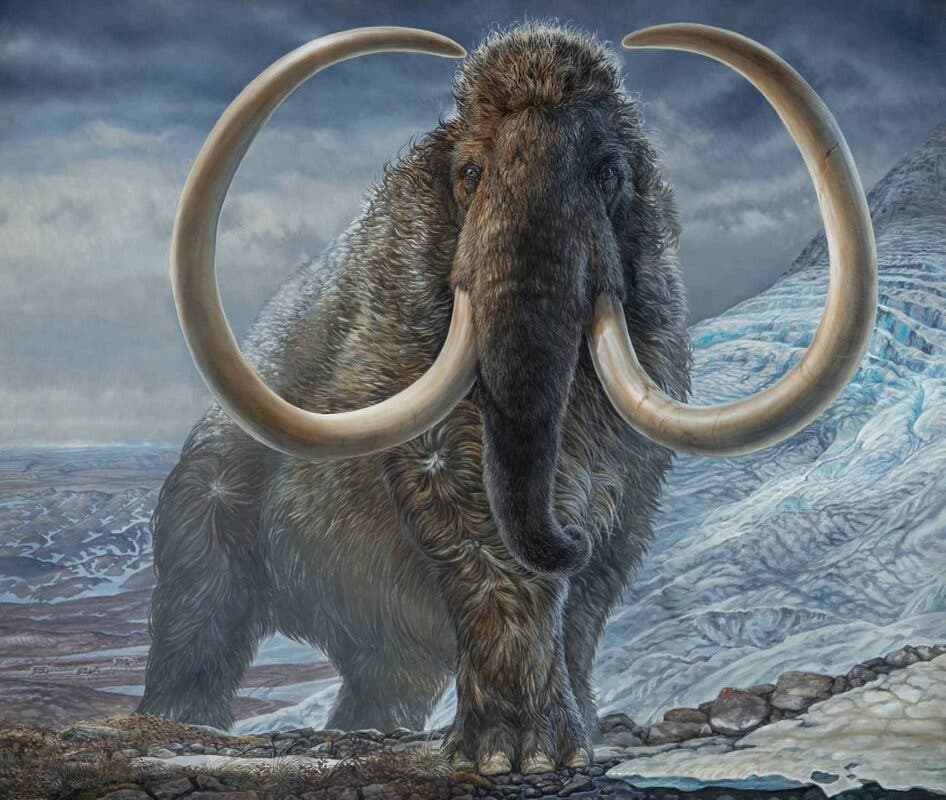 mamut lanudo