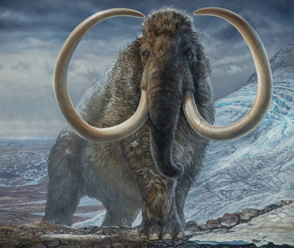 mamut lanudo