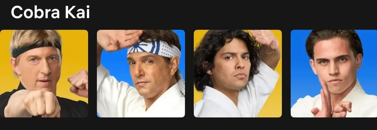 netflix cobra kai avatar