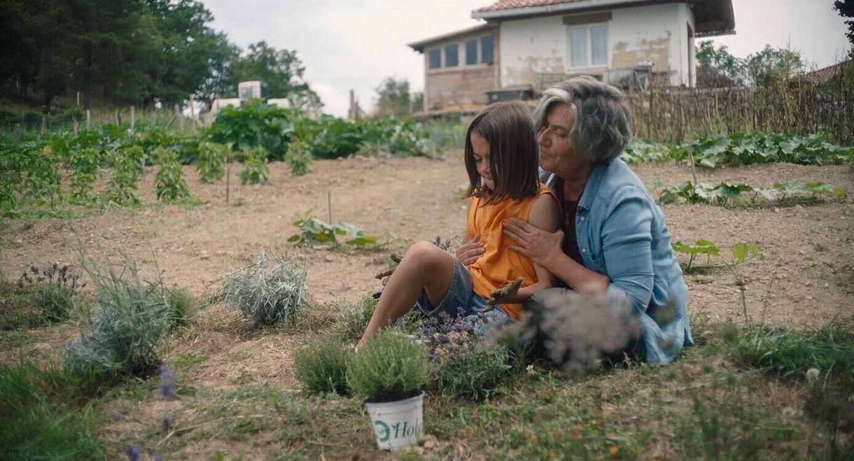 20.000 especies de abejas