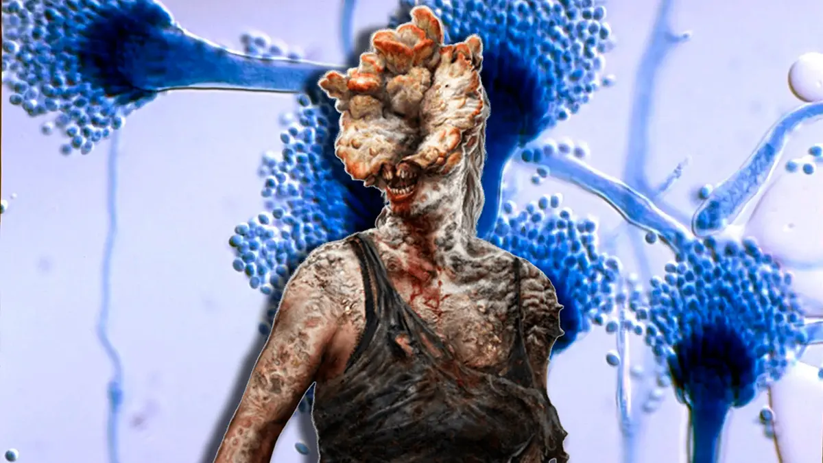 aspergillus the last of us