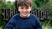 Imagen de Confirmado: Estos son los primeros cambios que va a sufrir la serie 'Harry Potter' respecto a los libros