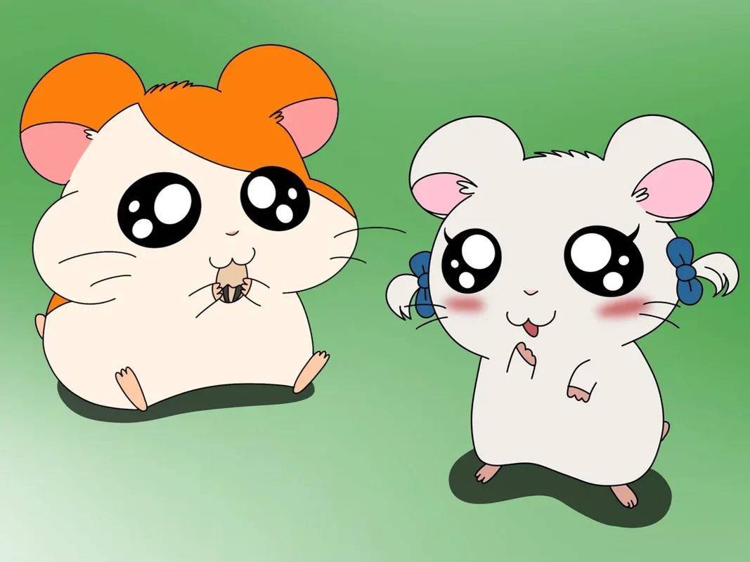 Hamtaro
