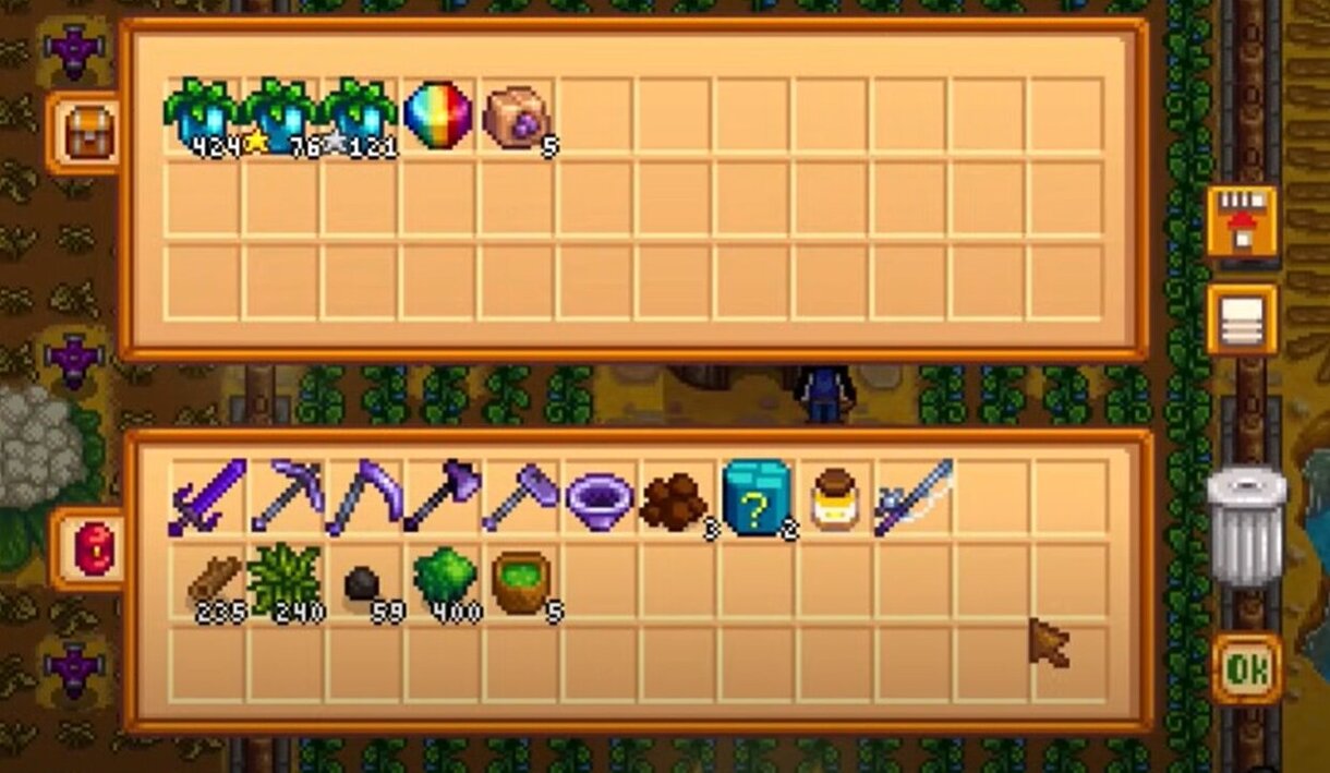Stardew Valley