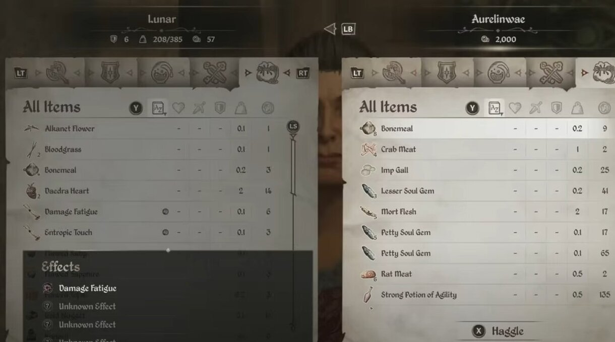The Elder Scrolls IV: Oblivion Remastered