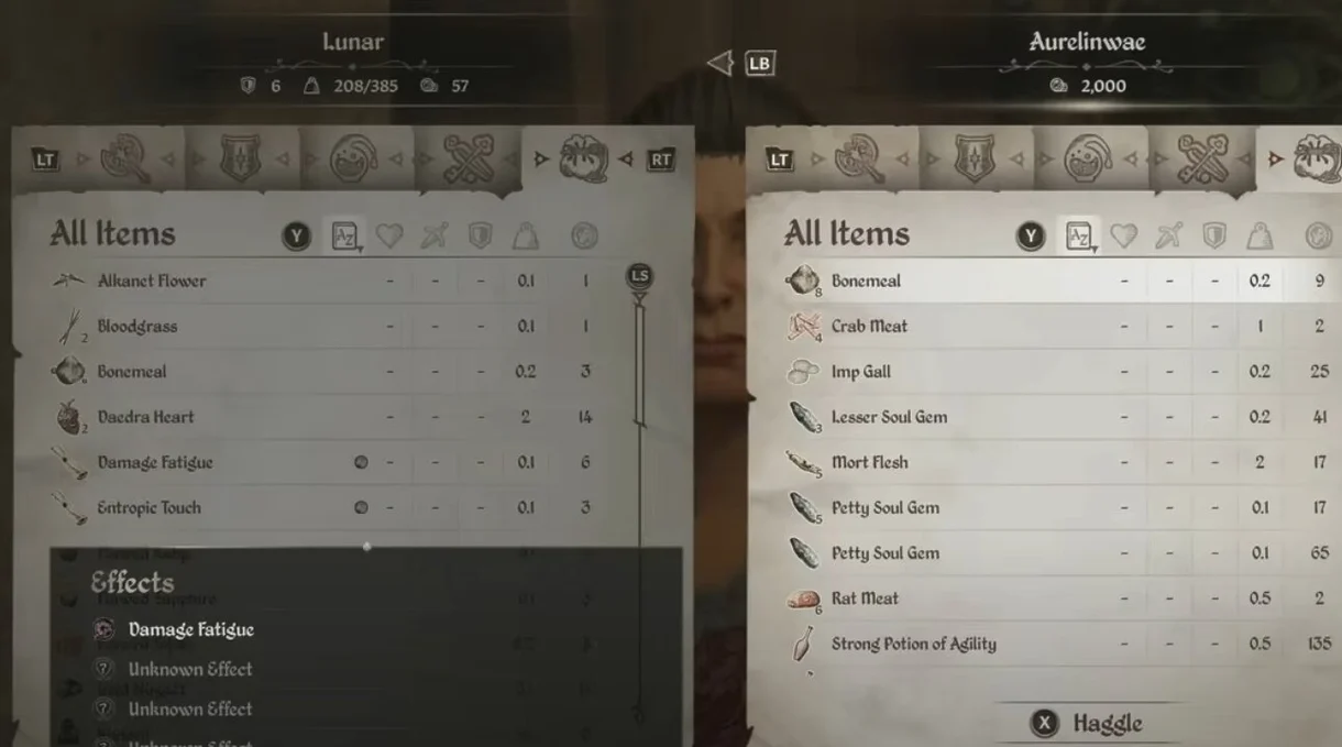 The Elder Scrolls IV: Oblivion Remastered