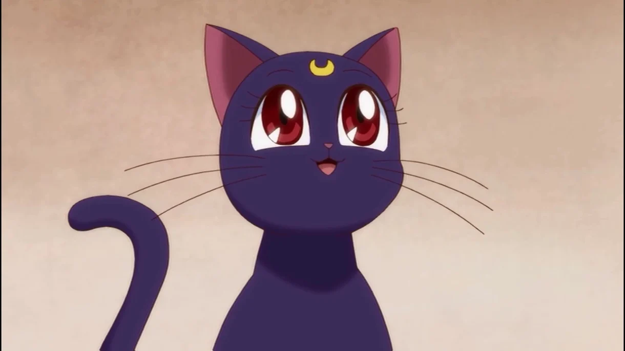 Luna, la icónica gata de "Sailor Moon