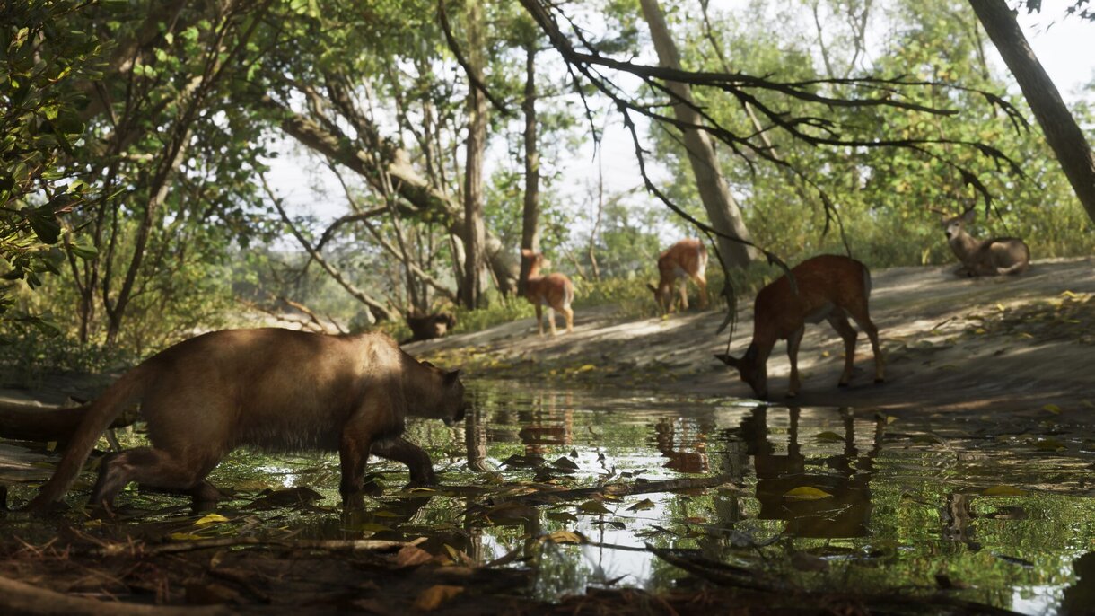 mount kalaga national park 05b28e1836