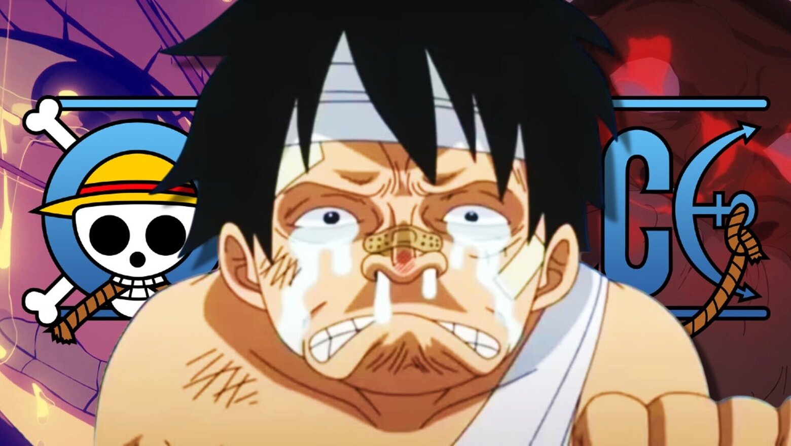 one piece 1129 decepcion (1)