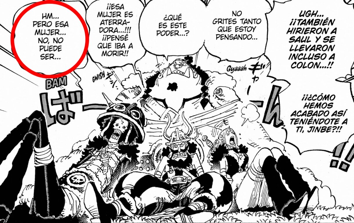 Viñeta del capítulo 1147 de One Piece