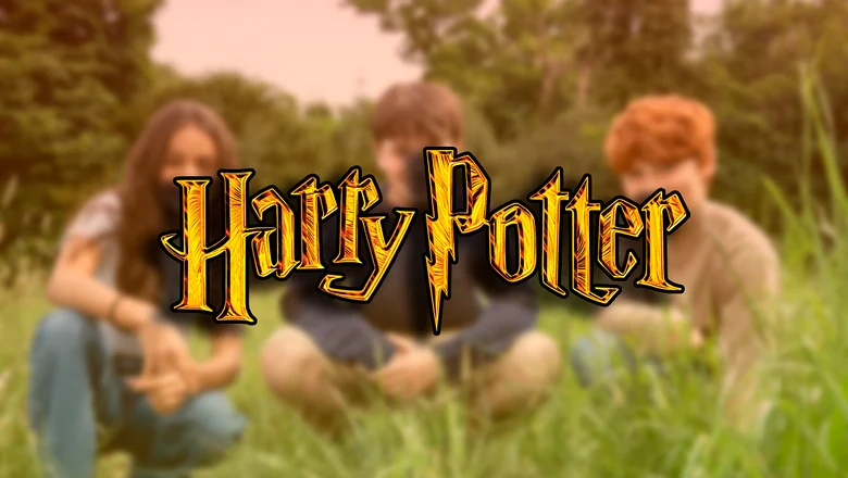 serie de harry potter