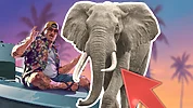 Imagen de ¿Elefantes en GTA VI? La captura de pantalla que está volviendo locos a algunos jugadores (todavía más)