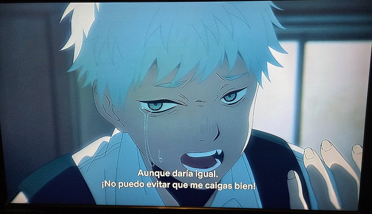 el verano en que hikaru murió