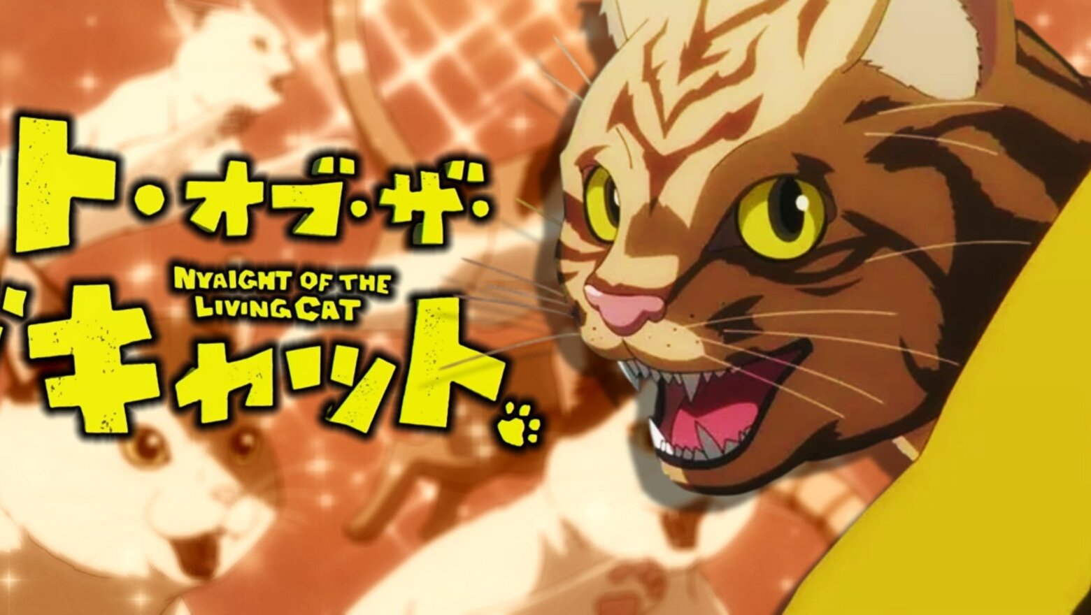 nyaight of the living cat anime (1)