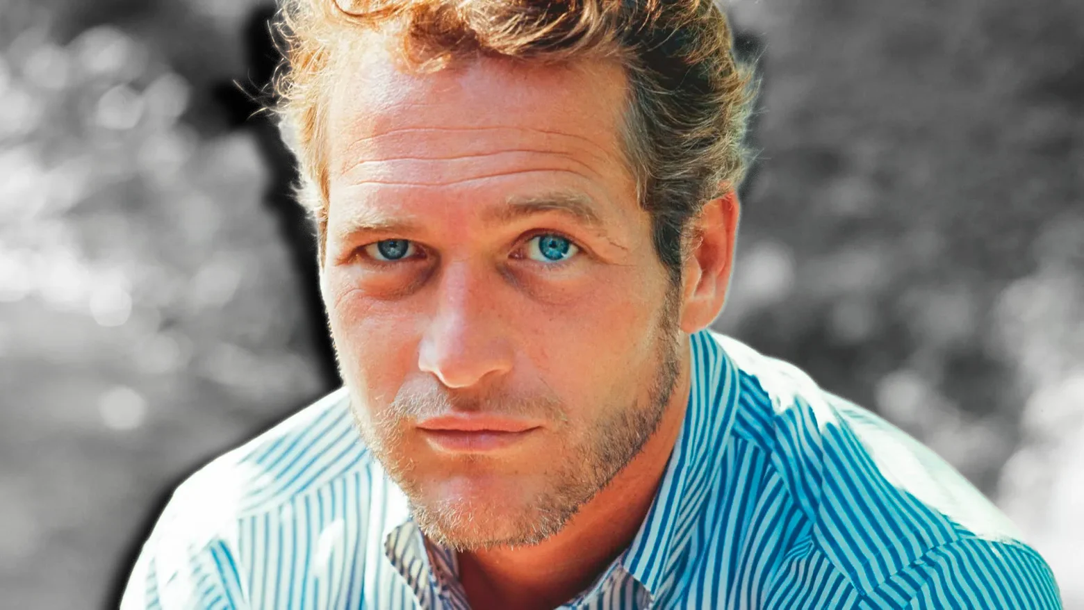 paul newman