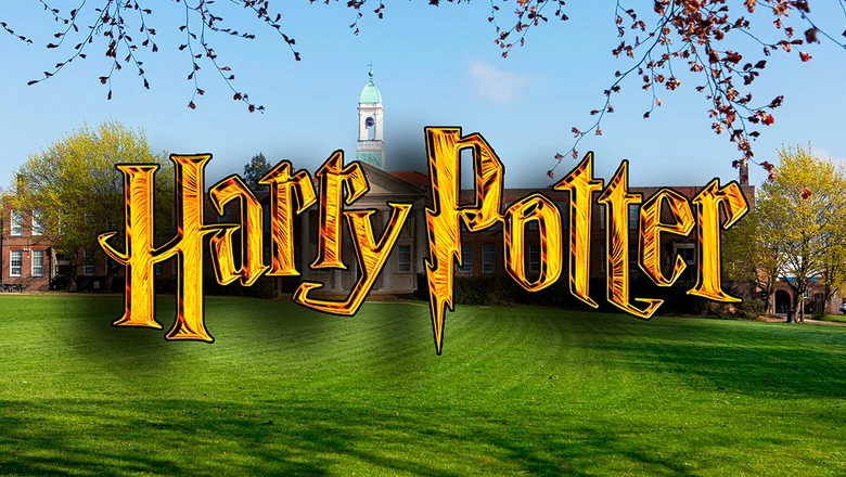 The Hemel Hempstead School Harry Potter