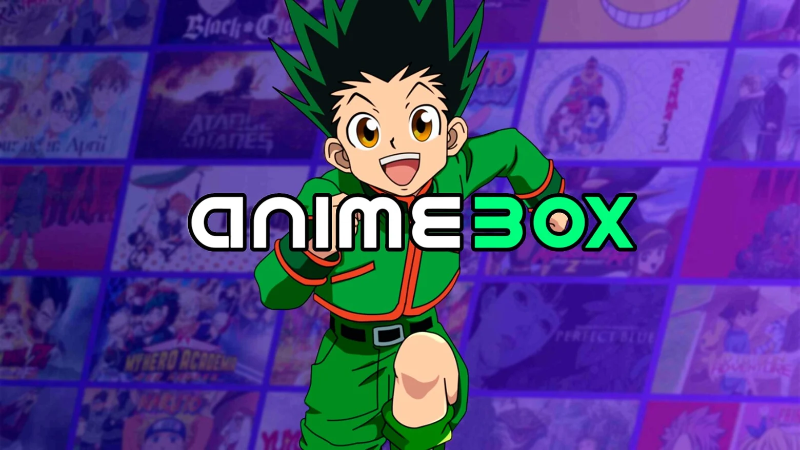 Hunter x Hunter en AnimeBox