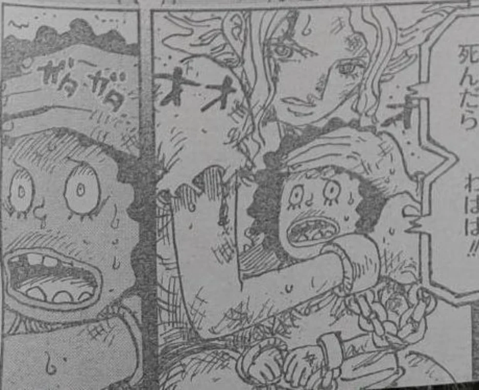 Viñeta filtrada del capítulo 1160 de One Piece