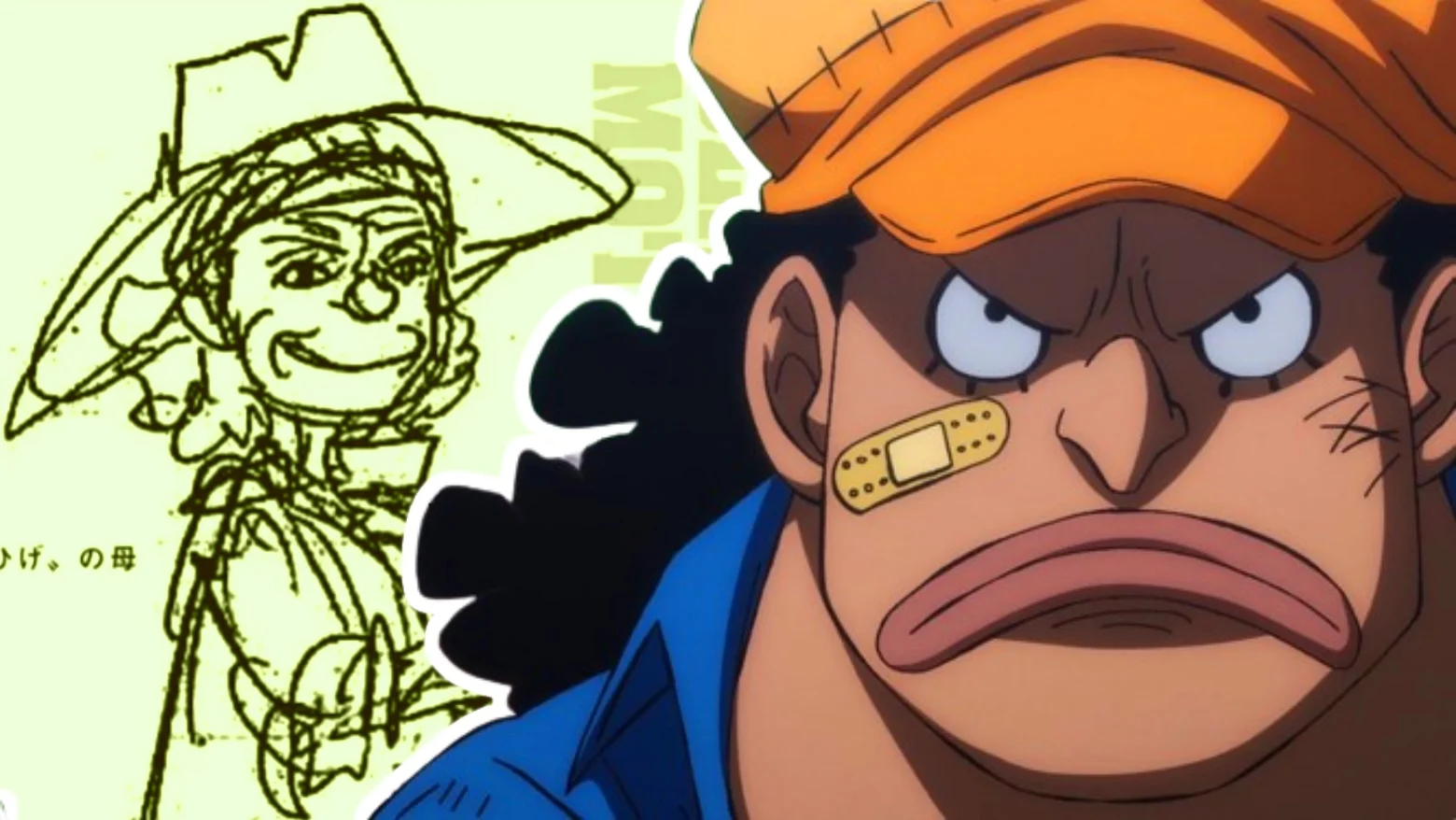 Madre de Barbanegra en One Piece
