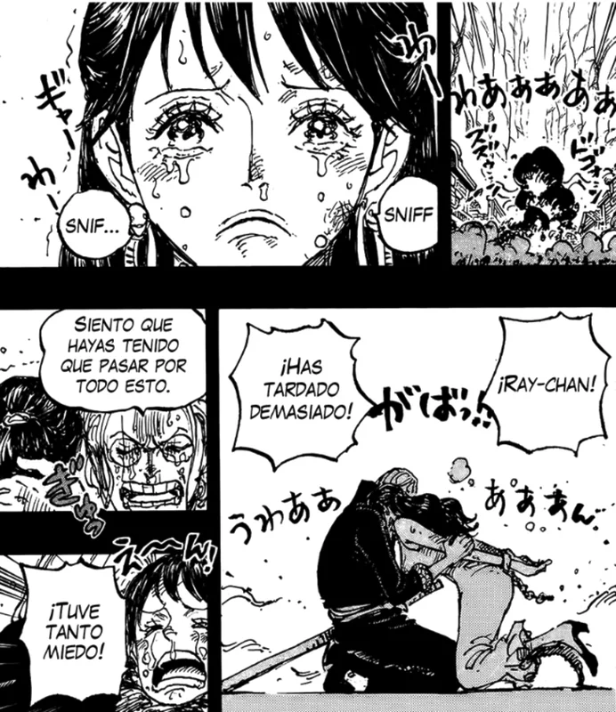 Viñeta del capítulo 1161 de One Piece