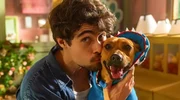 Imagen de Esta comedia de Netflix está protagonizada por un perro y te conquistará por su 'verdad'