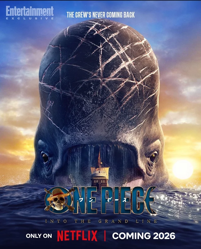 Nuevo cartel de one piece