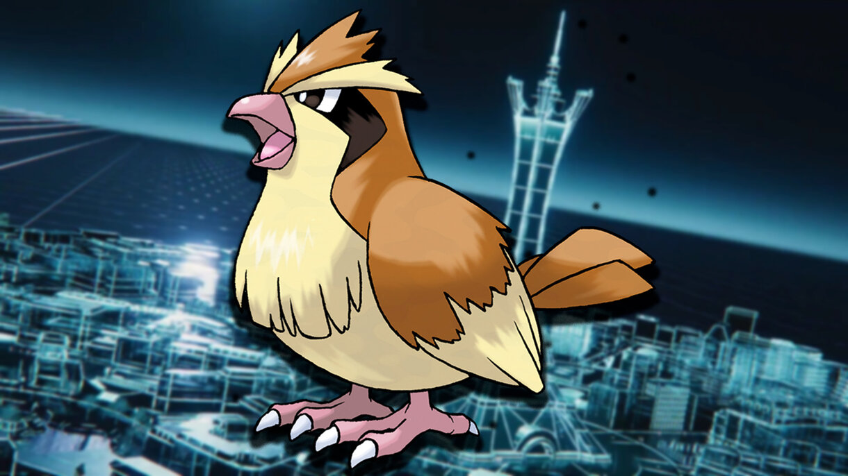 Pidgey