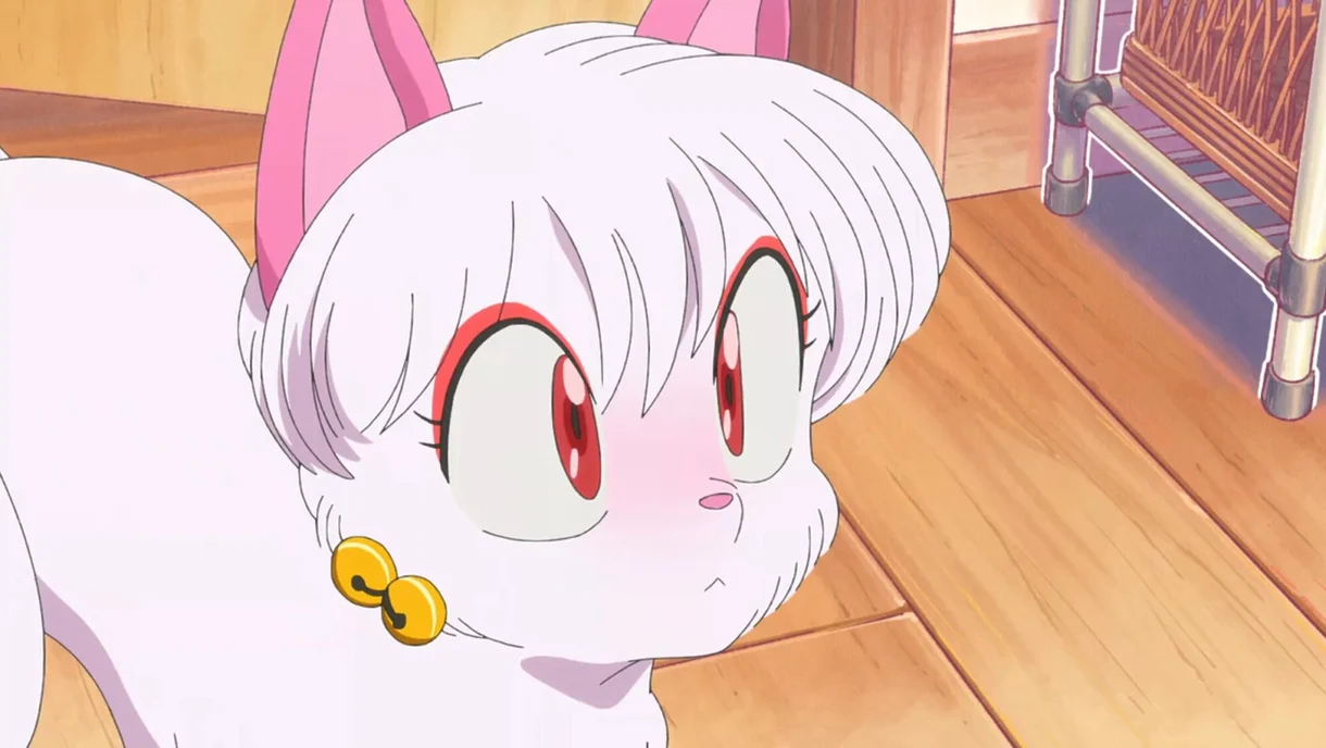 Ranma 1:2 Shampoo gato