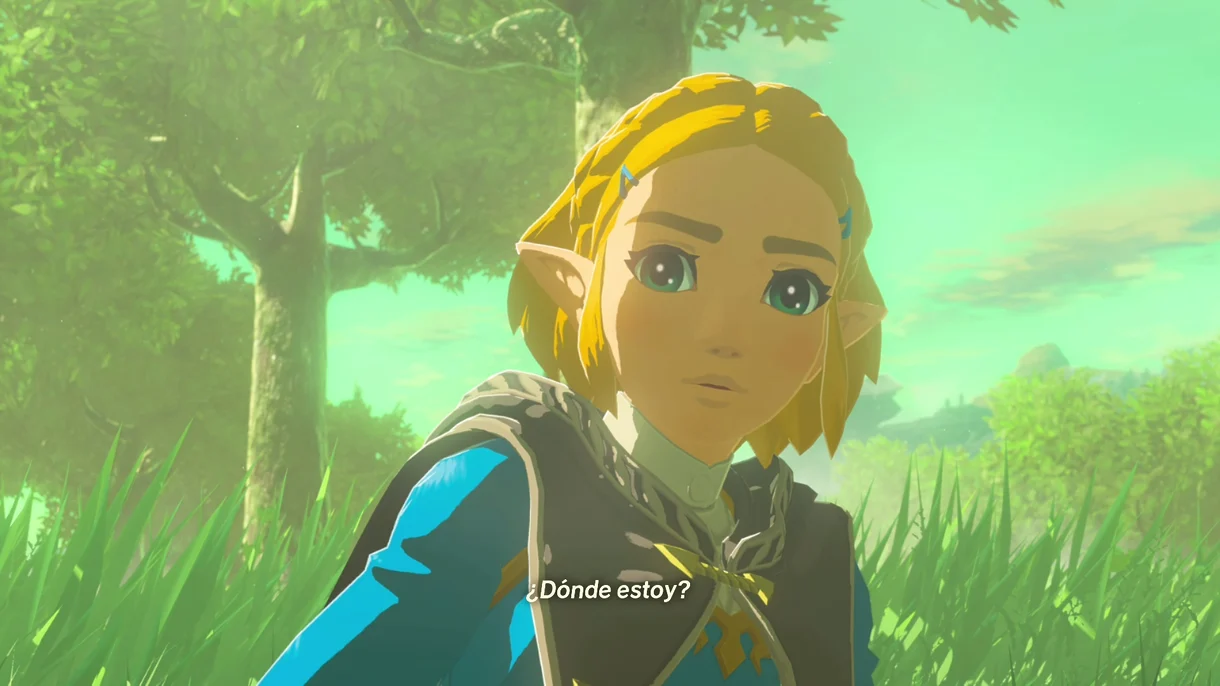 Hyrule Warriors: La Era del Destierro