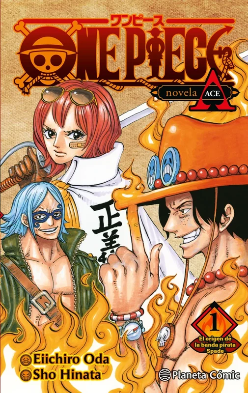 one piece novel a